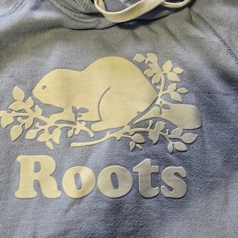 # 149 Roots Hoodie - Picture 3 of 8